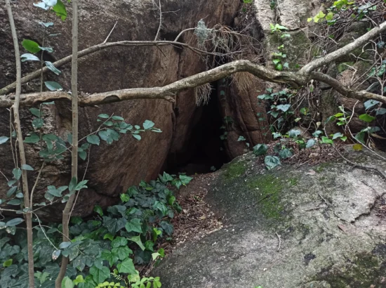 Cueva del Ermitaño